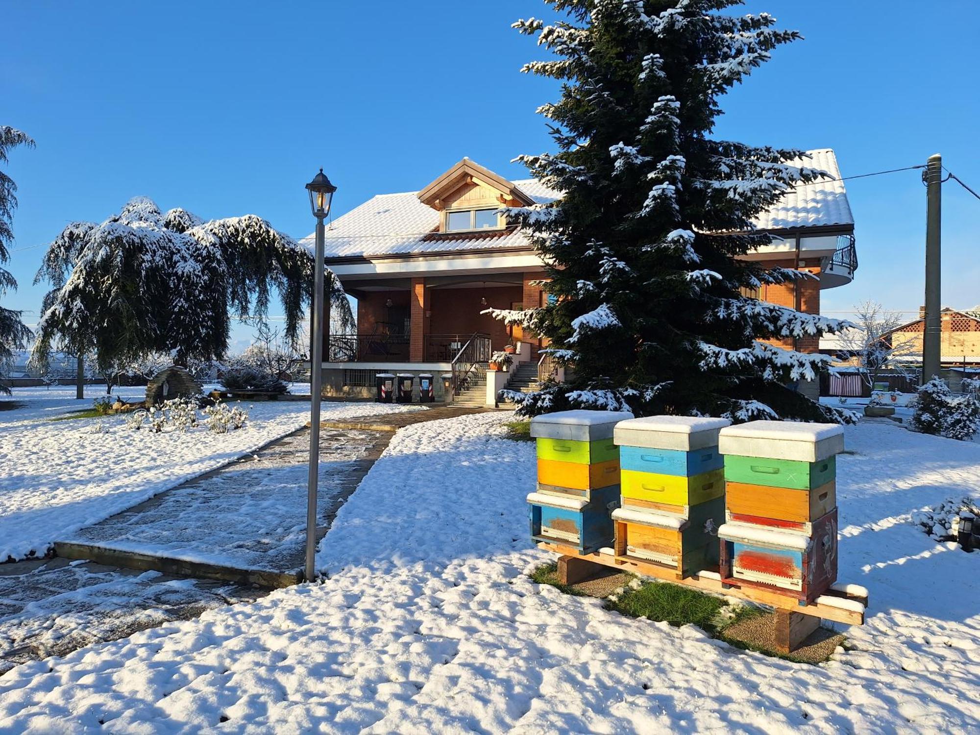Casa Matilde Villa Leinì Eksteriør billede
