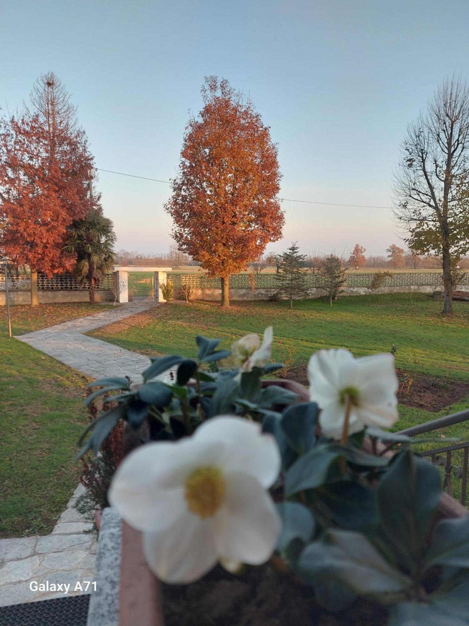 Casa Matilde Villa Leinì Eksteriør billede